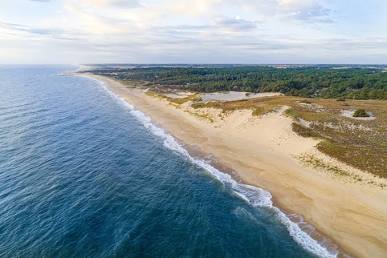 Cape Henlopen State Park aerial view