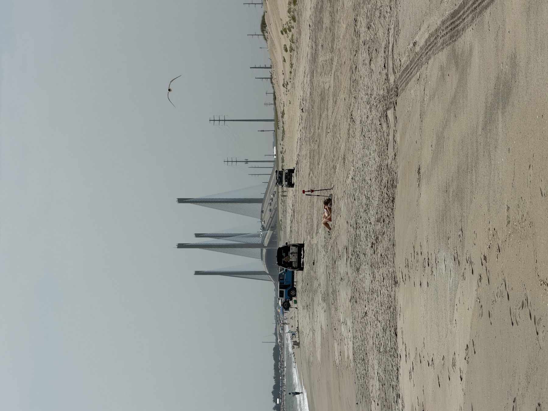 Surf-fishing rigs parked along a Delaware drive-on beach