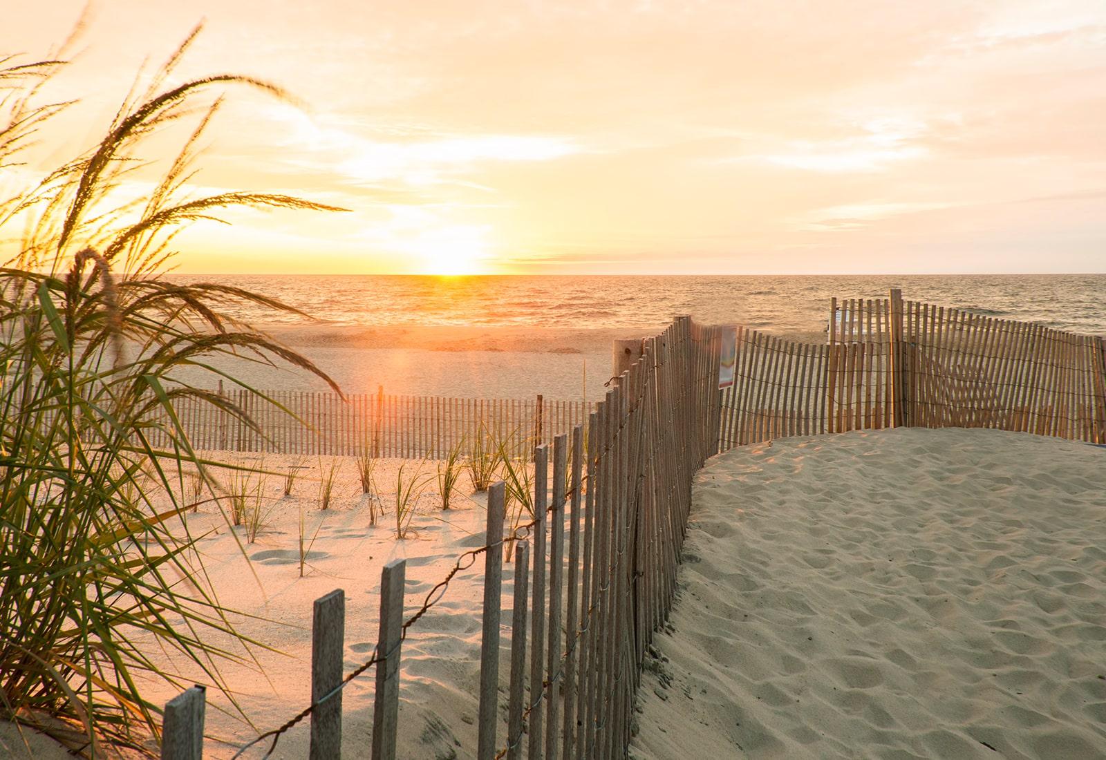 Dune fence and beach grass near Cape Henlopen at sunset