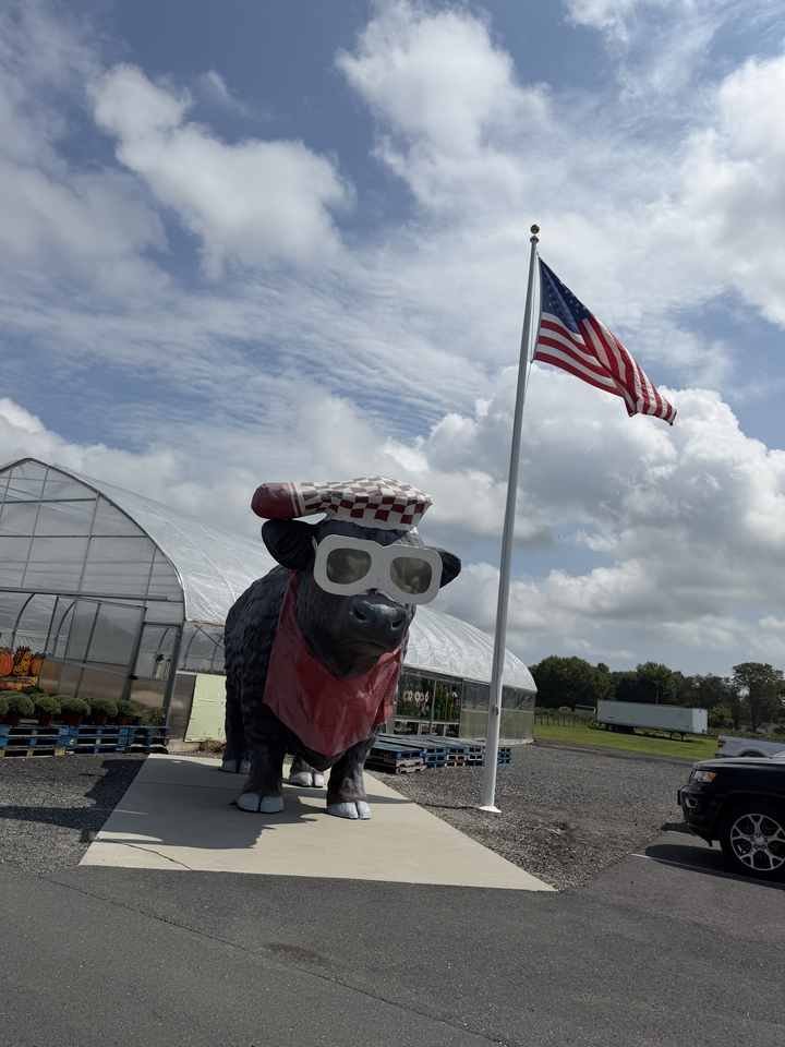Bull figure outside Parsons Farms in Dagsboro, Delaware
