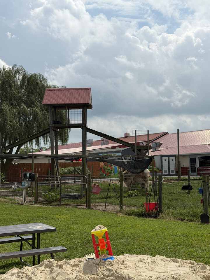 Animal and farmyard area at Parsons Farms