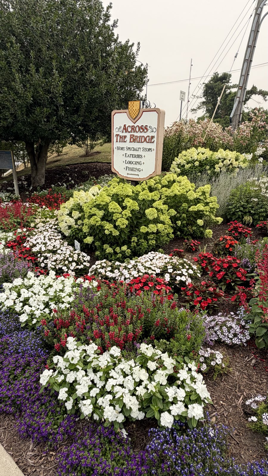 Street plantings along a sidewalk in Lewes, Delaware