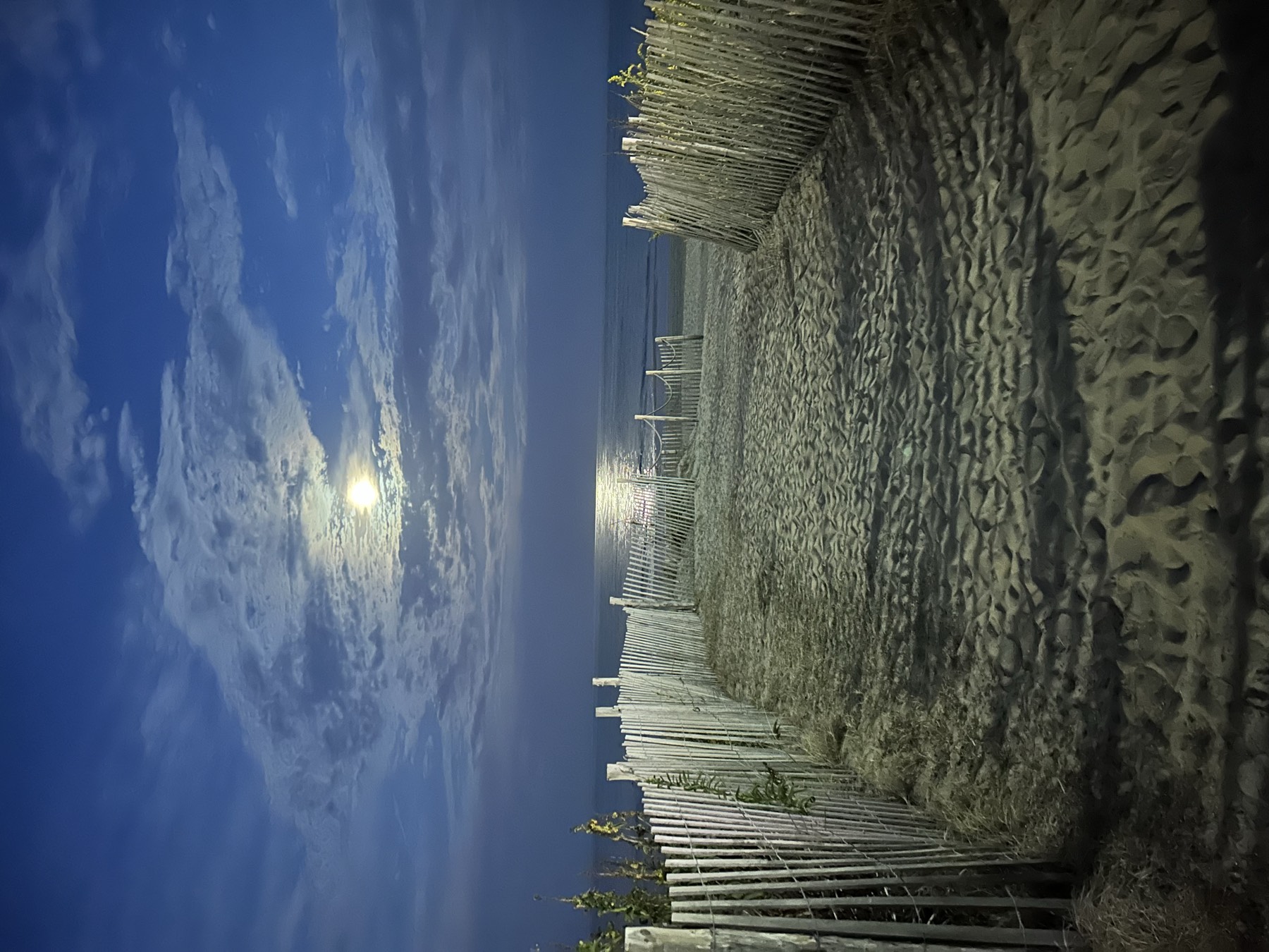 Moonlight on the water along the Delaware coast